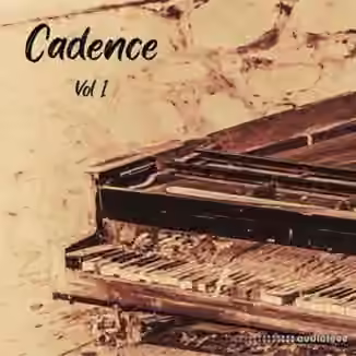 DiyMusicBiz Cadence Vol 1 [WAV]