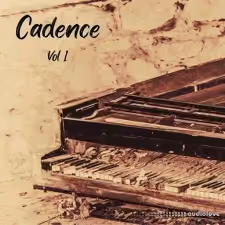 DiyMusicBiz Cadence Vol 1 [WAV] - Sample Pack Artwork