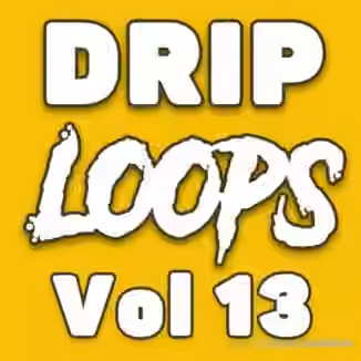 DiyMusicBiz Drip Loops Vol.13 [WAV]