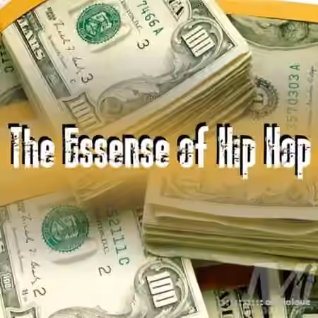 DJ Maestro 1 The Essence Of Hip Hop [WAV] - Sample Pack Artwork