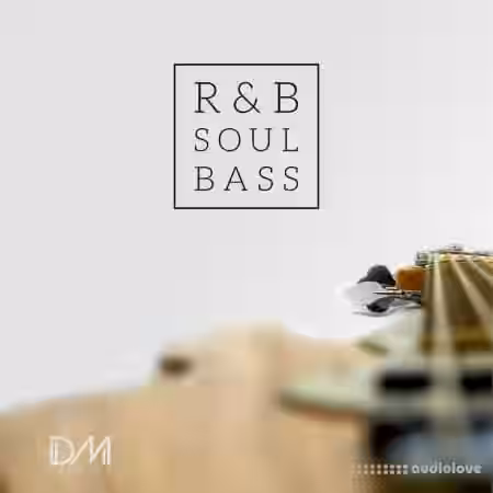 Dm Samples RnB Soul Bass [WAV] - Sample Pack Artwork