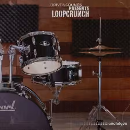 Drivensounds LOOPCRUNCH [WAV] - Sample Pack Artwork
