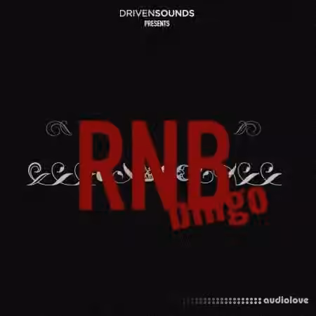 DRIVENSOUNDS Rnb Bingo Loops [WAV] - Sample Pack Artwork