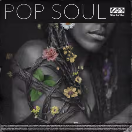 Soul Surplus - Pop Soul