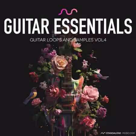 Standalone-Music Guitar Essentials Vol 4