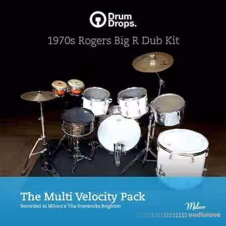 DrumDrops 1970's Roger's Big R Dub Kit Multi Velocity Pack [MULTiFORMAT] - Sample Pack Artwork