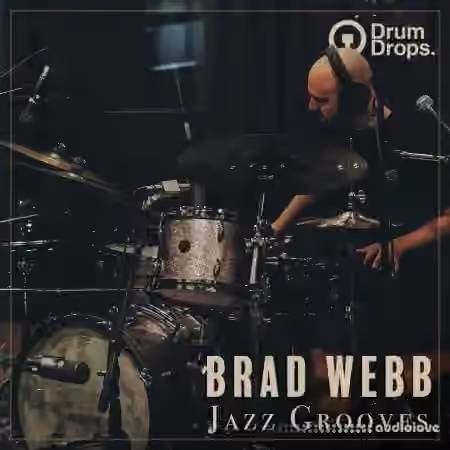 Drumdrops Brad Webb Jazz Grooves [WAV] - Sample Pack Artwork