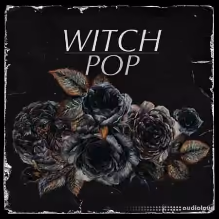 Drumdrops Witch Pop [WAV] - Sample Pack Artwork