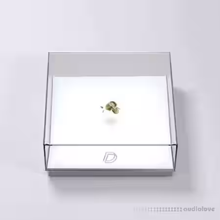 DrumVault Whats Beef Drum Kit [WAV, DAW Presets] - Sample Pack Artwork