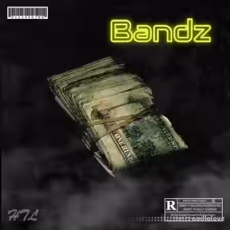Dynasty Loops Bandz [WAV] - Sample Pack Artwork