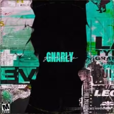Dynasty Loops Gnarly [WAV] - Sample Pack Artwork