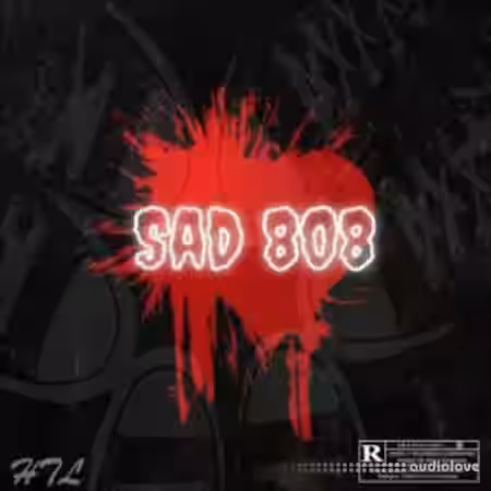 Dynasty Loops Sad 808 [WAV] - Sample Pack Artwork