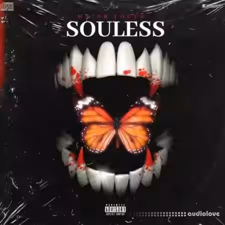 Dynasty Loops Souless [WAV] - Sample Pack Artwork