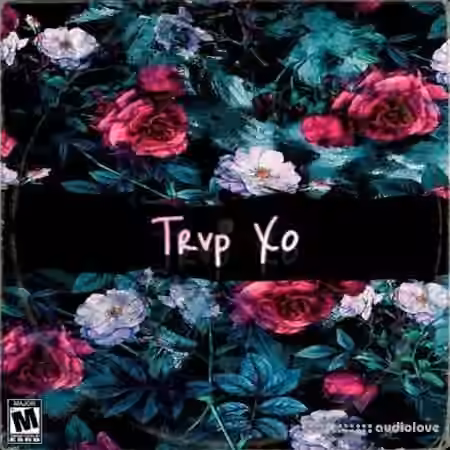 Dynasty Loops Trvp Xo [WAV] - Sample Pack Artwork
