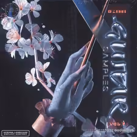 Dzimi Guitar Samples Vol.1 [WAV] - Sample Pack Artwork