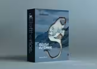 Eleftherios Winter Ambient [WAV, MiDi, Synth Presets]