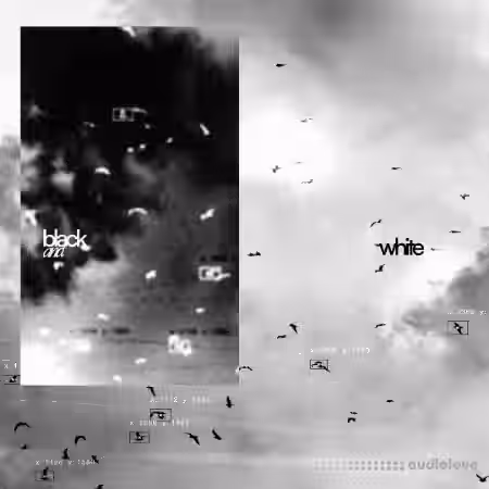 Eville BnW Drum Kit (Deluxe Edition) [WAV, Synth Presets]