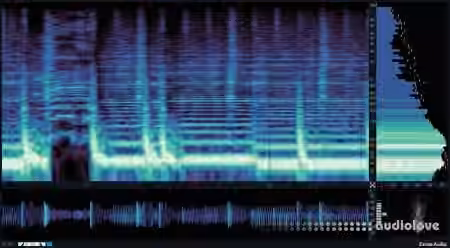 Excite Audio VISION 4X v1.2.2 [WiN, MacOSX] - Sample Pack Artwork
