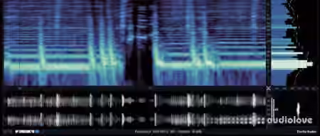 Excite Audio VISION 4X v1.2.2 [WiN, MacOSX]