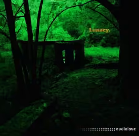 expressivv Lunacy drumkit [WAV] - Sample Pack Artwork