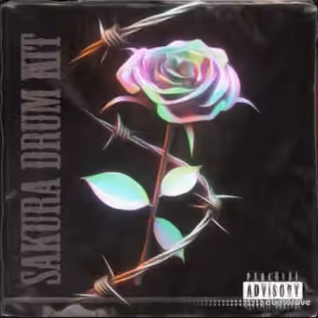 Exquisite Beats Sakura (Drum Kit) [WAV] - Sample Pack Artwork