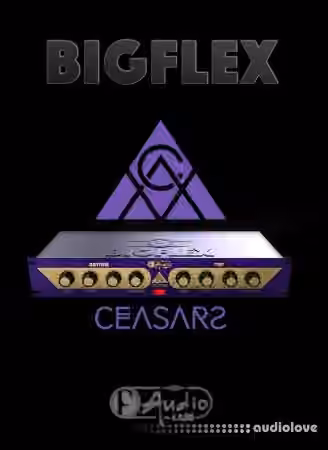 F-AudioLabs BigFlex v1.2.1 [WiN] - Sample Pack Artwork