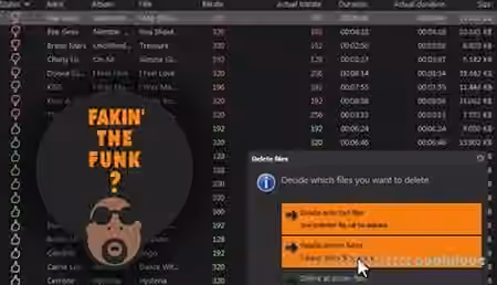 Fakin the Funk v3.0.0.139 [WiN] - Sample Pack Artwork