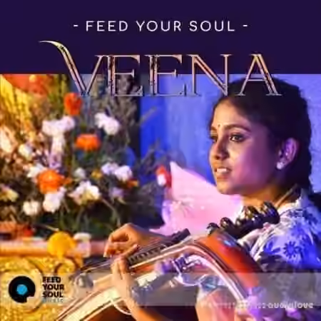 Feed Your Soul Music Feed Your Soul Veena [WAV] - Sample Pack Artwork