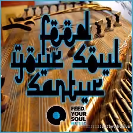 Feed Your Soul Music Santur [WAV] - Sample Pack Artwork