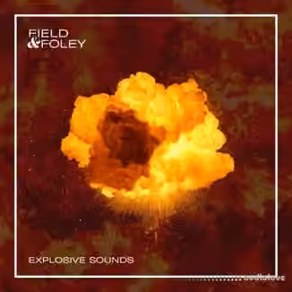 Field and Foley Explosive Sounds [WAV]