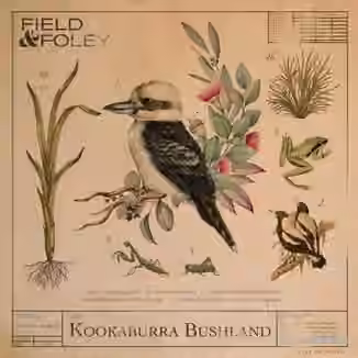 Field and Foley Kookaburra Bushland [WAV]