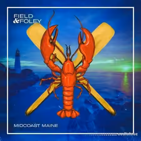 Field and Foley Midcoast Maine [WAV] - Sample Pack Artwork