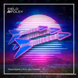 Field And Foley Transmuted Guitars [WAV]
