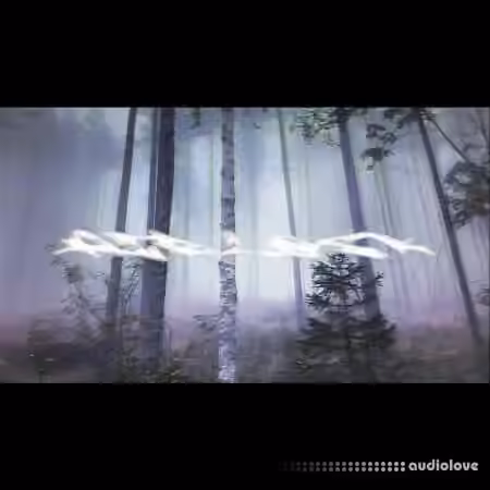 Filipmakesbeats Airlock Polykit [WAV] - Sample Pack Artwork
