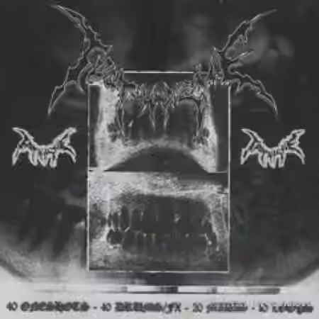 Filipmakesbeats Toothache Soundkit [WAV, MiDi] - Sample Pack Artwork