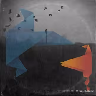 Fold Warped Aesthetics [WAV]