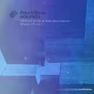 foundwav sounds FWS003 Drum and Bass Expressions Drums 170 Vol 1 [WAV]