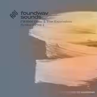 foundwav sounds FWS006 Drum and Bass Expressions Synths 170 Vol 2 [WAV]