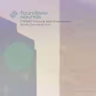 foundwav sounds FWS007 Drum and Bass Expressions Synth Oneshots Vol 1 [WAV]