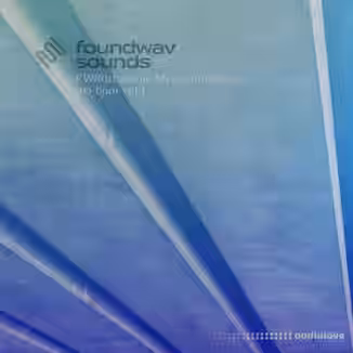 foundwav sounds FWS011 Jamie Myerson Breaks 165 Bpm V1 [WAV]
