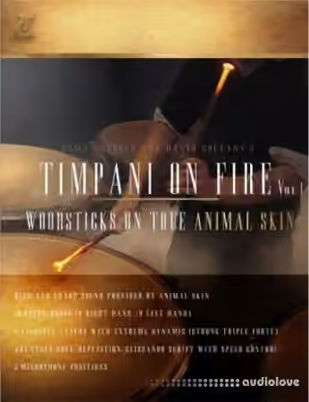 FTSamples Timpani On Fire Vol.1 [KONTAKT] - Sample Pack Artwork
