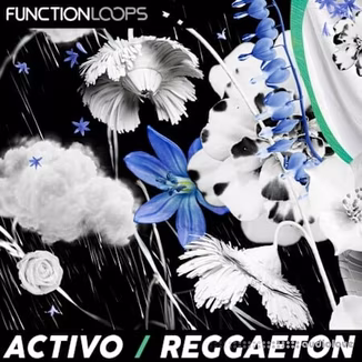 Function Loops ACTIVO - Reggaeton [WAV]