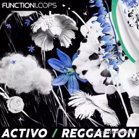 Function Loops ACTIVO - Reggaeton [WAV] - Sample Pack Artwork