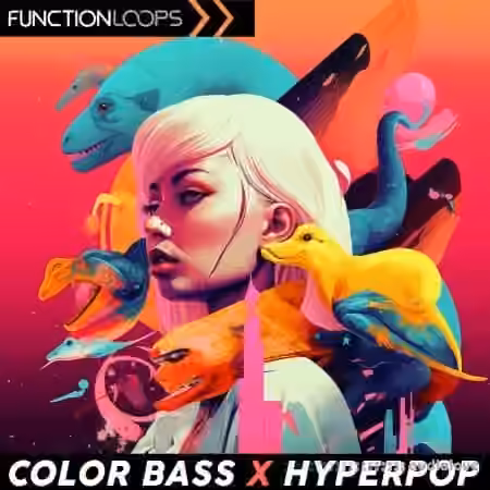 Function Loops Color Bass x Hyperpop [WAV] - Sample Pack Artwork