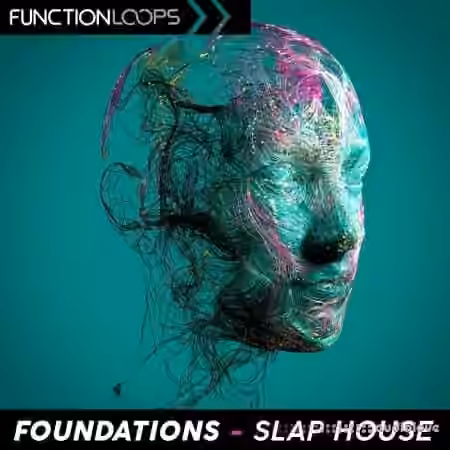 Function Loops Foundations Slap House [WAV] - Sample Pack Artwork
