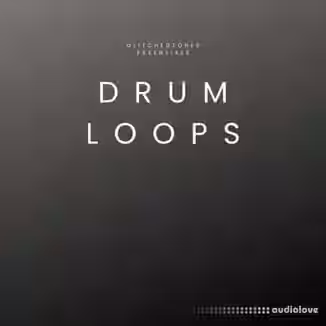 Glitchedtones Essentials Drum Loops [WAV]