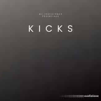 Glitchedtones Essentials Kicks [WAV]