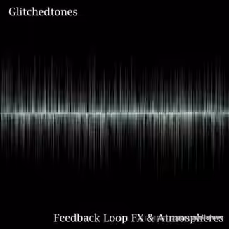 Glitchedtones Feedback Loop FX and Atmospheres [WAV]