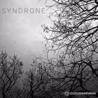 Glitchmachines SYNDRONE [WAV]