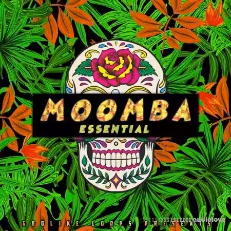 Godlike Loops Moomba Essential [WAV, MiDi] - Sample Pack Artwork